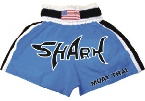 Woldorf Boxing Muay Thai Shorts in Satin Embroidery Green 